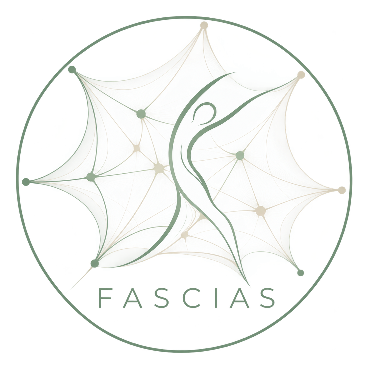 Travail des fascias en Pilates Reformer / Fascia work in Pilates Reformer