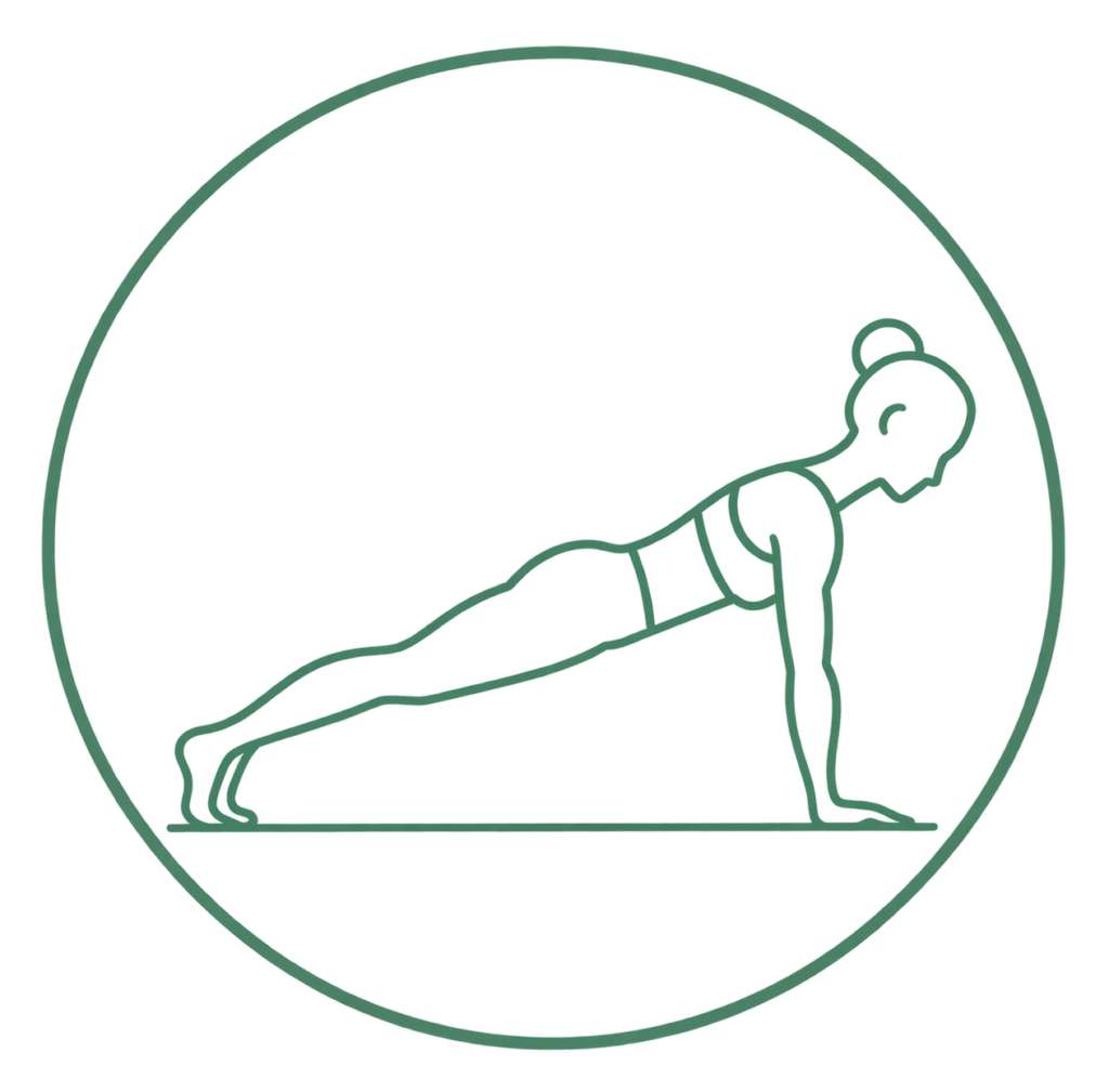 pilates reformer muscles profonds